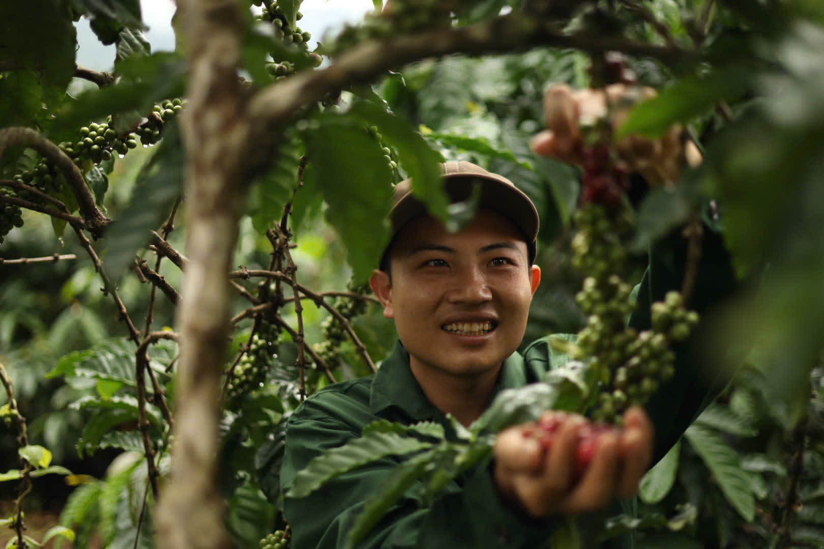 Ngày 4, thứ Hai 07/09/2026 của khóa Processing và SCA Green Coffee tại HTX Nam Yang, Gia Lai