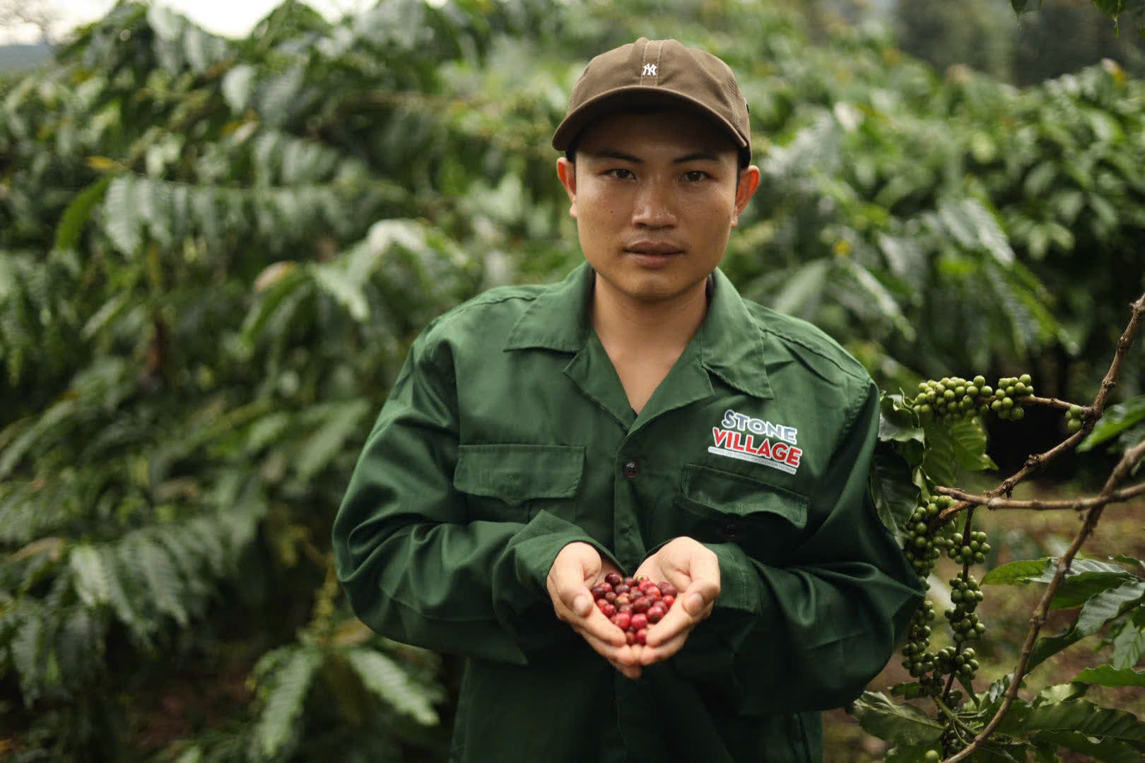 Ngày 4, thứ Hai 07/09/2026 của khóa Processing và SCA Green Coffee tại HTX Nam Yang, Gia Lai