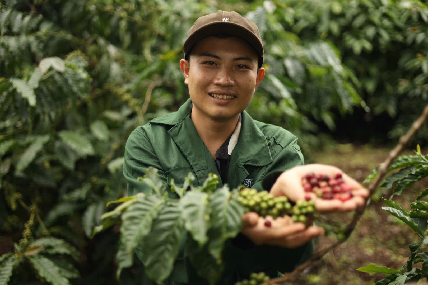 Ngày 4, thứ Hai 07/09/2026 của khóa Processing và SCA Green Coffee tại HTX Nam Yang, Gia Lai