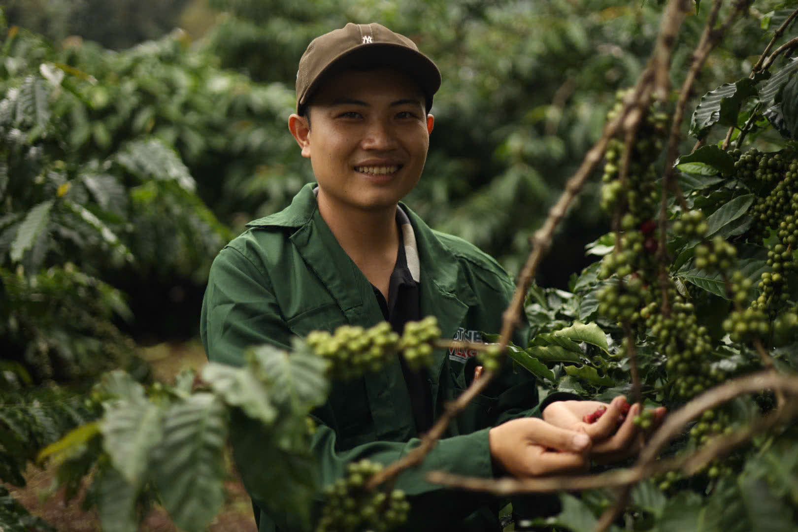 Ngày 4, thứ Hai 07/09/2026 của khóa Processing và SCA Green Coffee tại HTX Nam Yang, Gia Lai