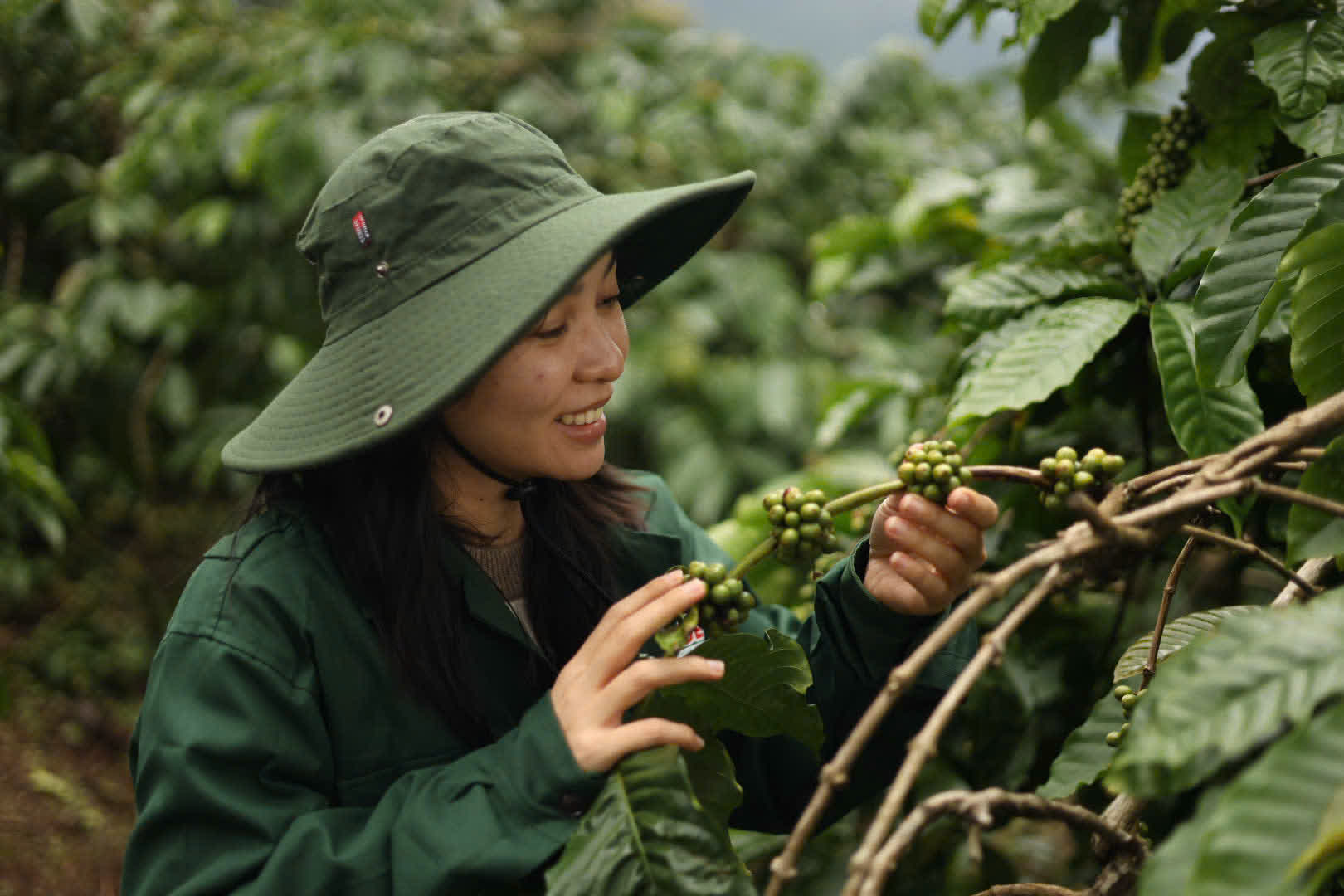 Ngày 4, thứ Hai 07/09/2026 của khóa Processing và SCA Green Coffee tại HTX Nam Yang, Gia Lai