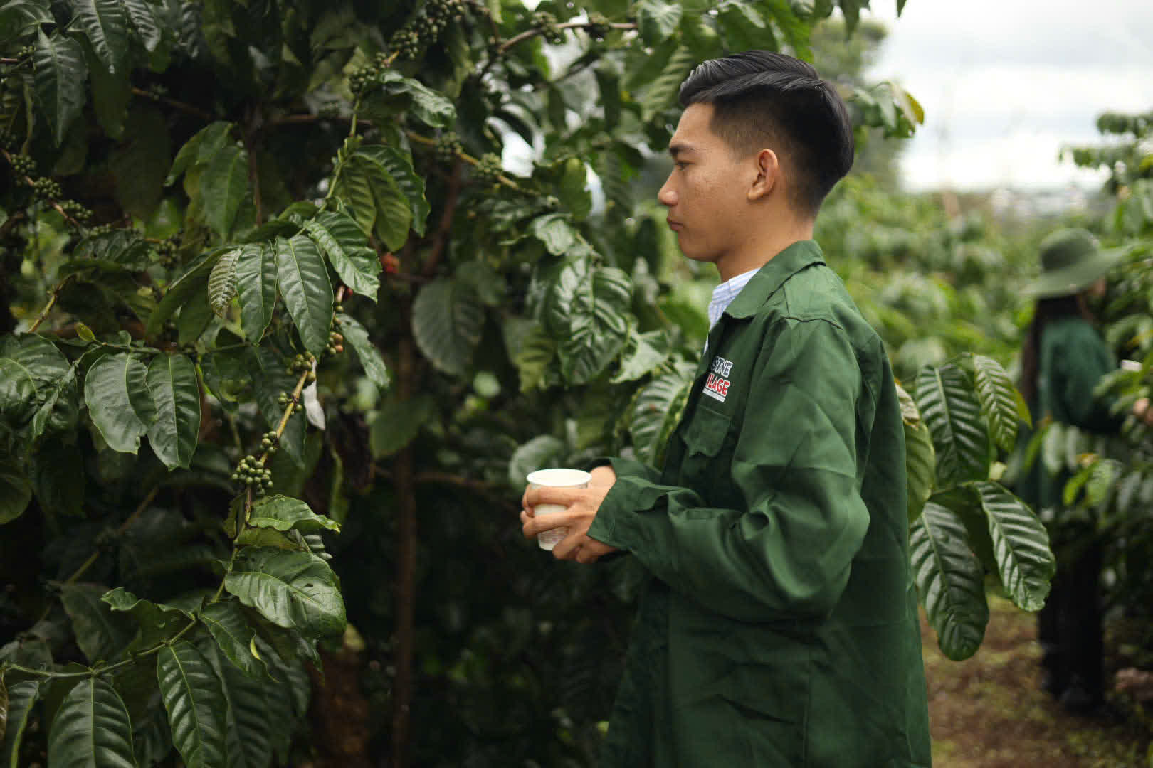 Ngày 4, thứ Hai 07/09/2026 của khóa Processing và SCA Green Coffee tại HTX Nam Yang, Gia Lai