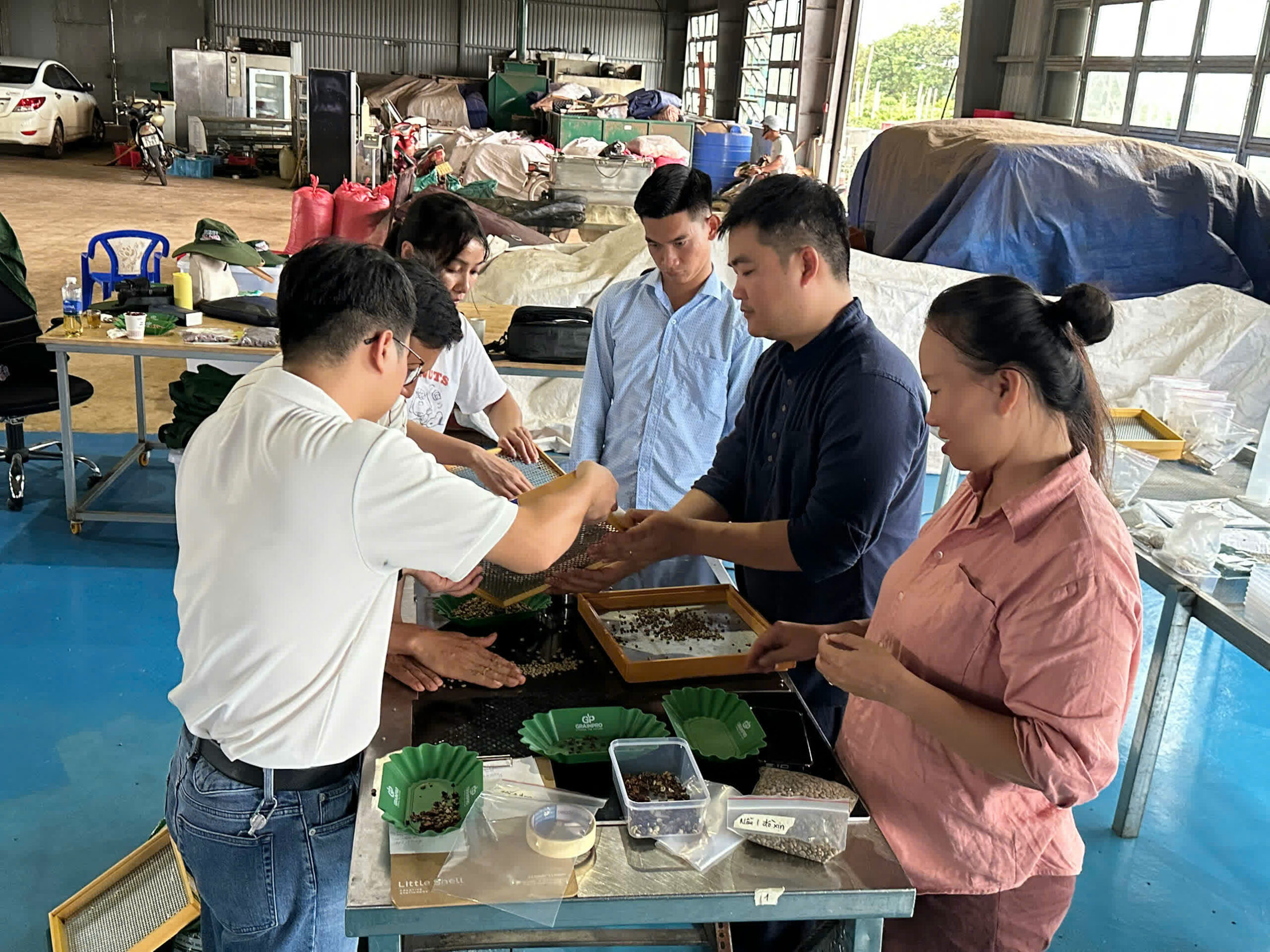 Ngày 5, thứ Ba 08/09/2026 của khóa Processing và SCA Green Coffee tại HTX Nam Yang, Gia Lai