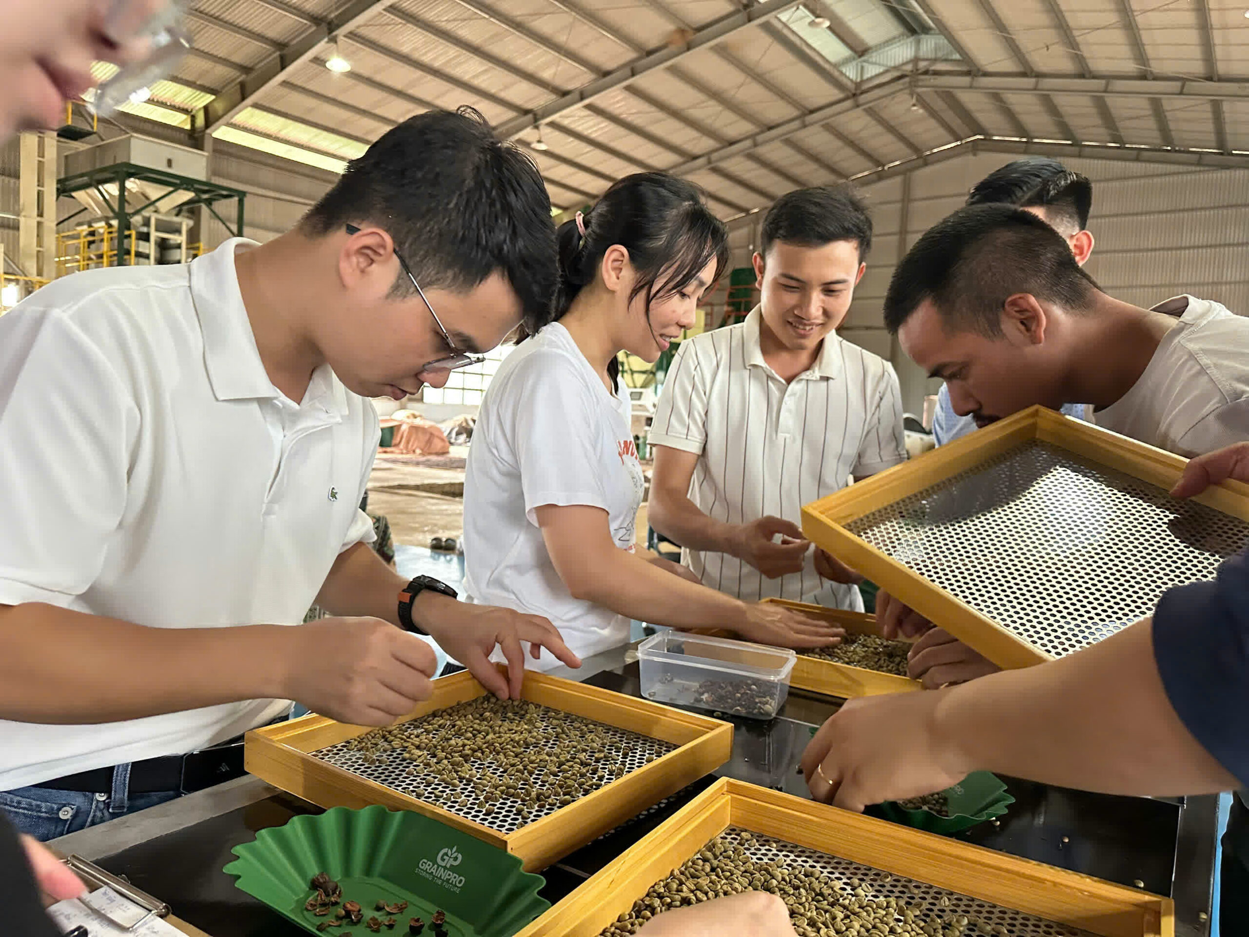 Ngày 5, thứ Ba 08/09/2026 của khóa Processing và SCA Green Coffee tại HTX Nam Yang, Gia Lai