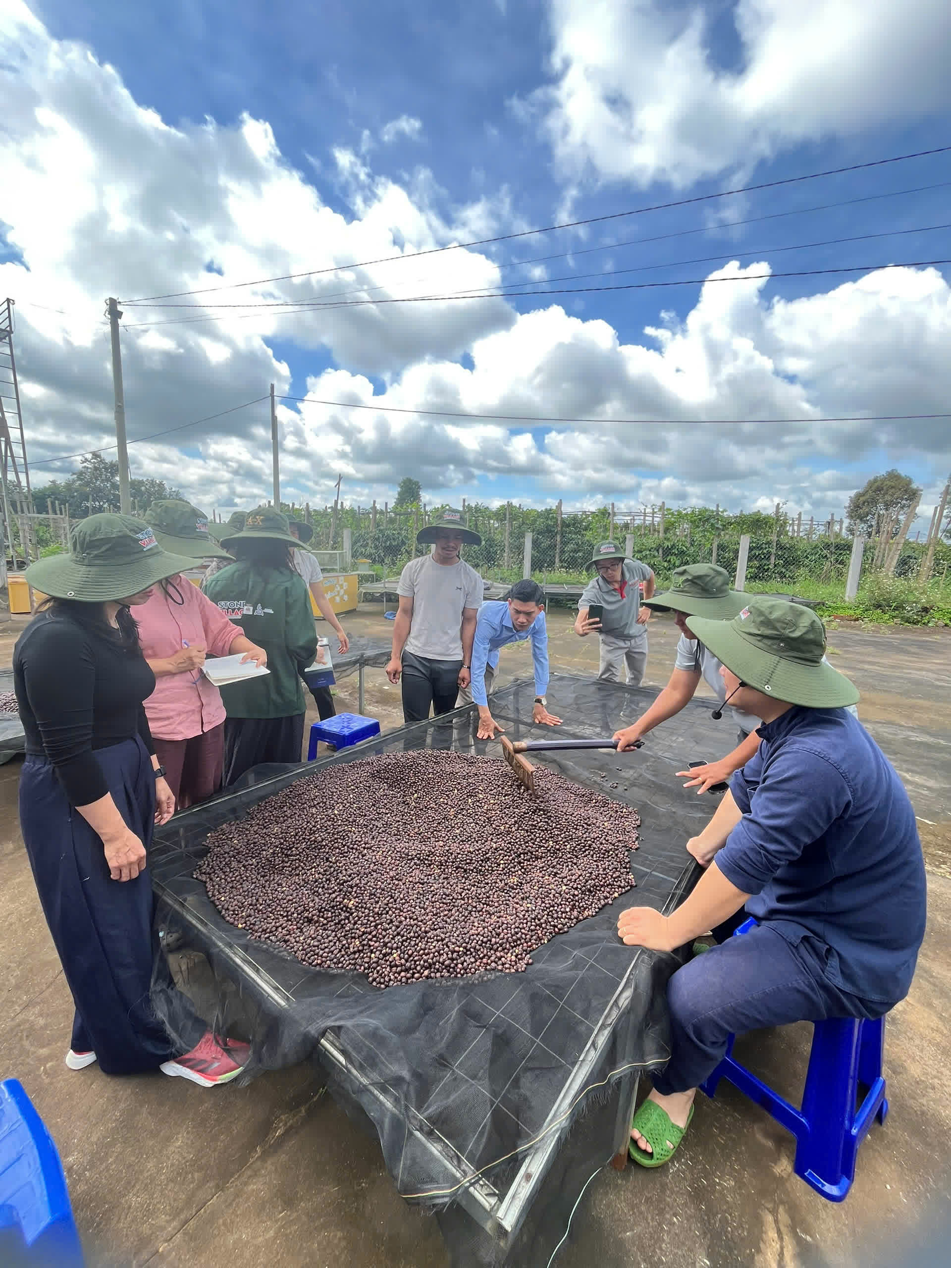 Ngày 5, thứ Ba 08/09/2026 của khóa Processing và SCA Green Coffee tại HTX Nam Yang, Gia Lai