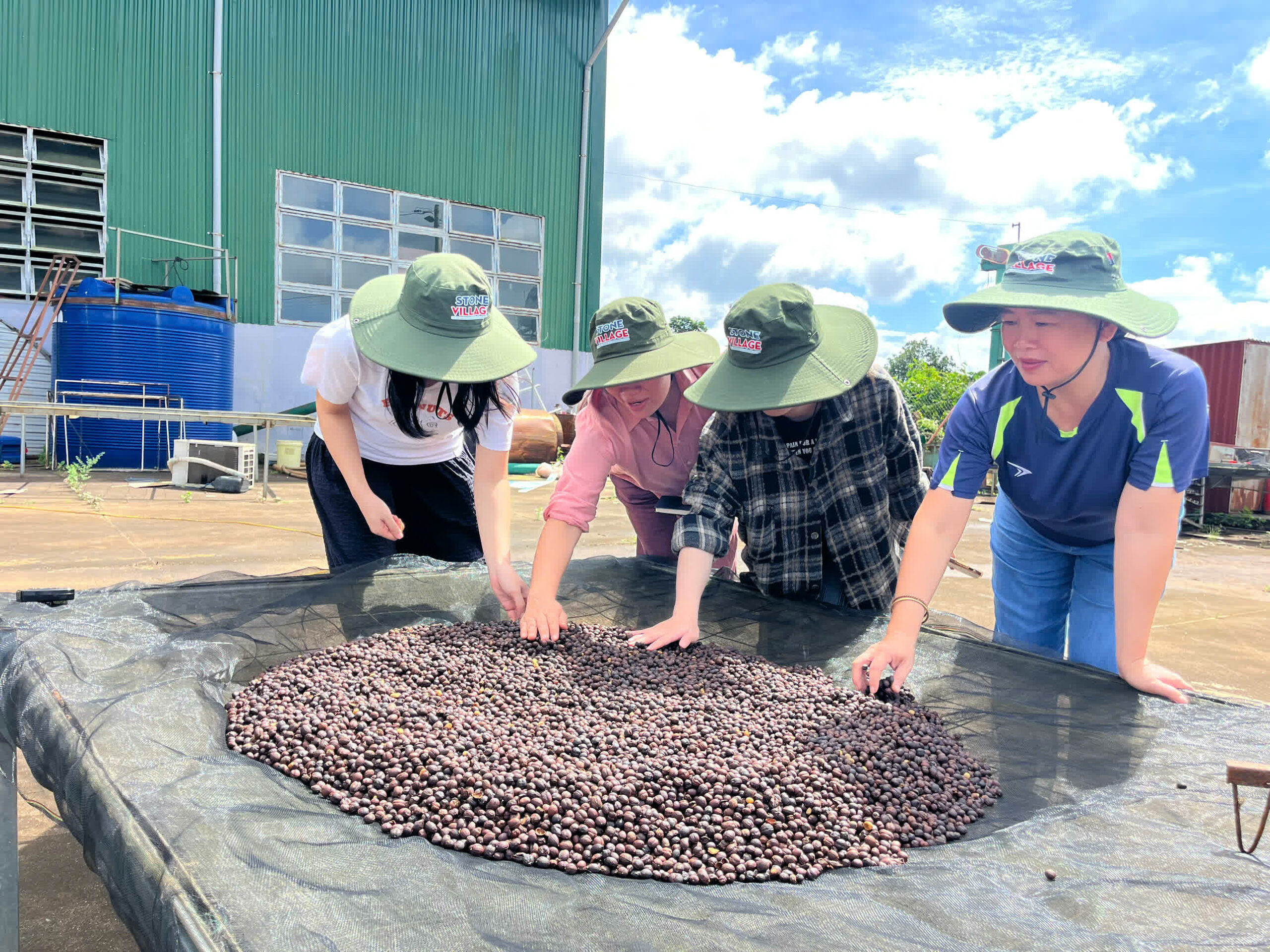 Ngày 5, thứ Ba 08/09/2026 của khóa Processing và SCA Green Coffee tại HTX Nam Yang, Gia Lai