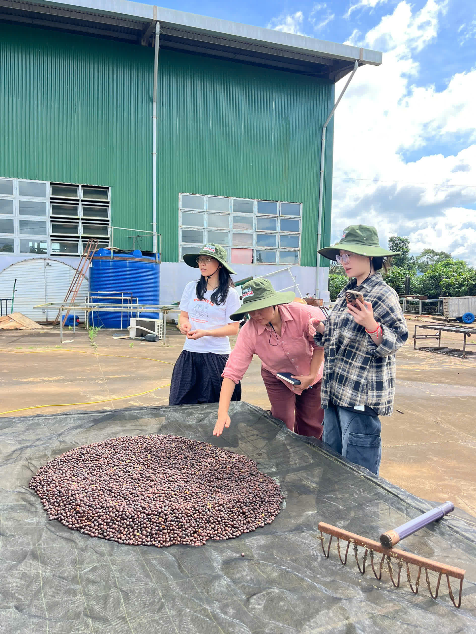 Ngày 5, thứ Ba 08/09/2026 của khóa Processing và SCA Green Coffee tại HTX Nam Yang, Gia Lai
