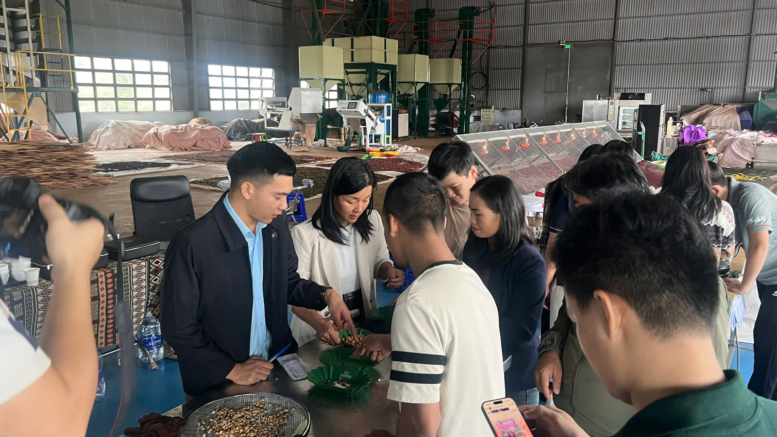 Khu nhà máy chế biến với bao cà phê phía sau