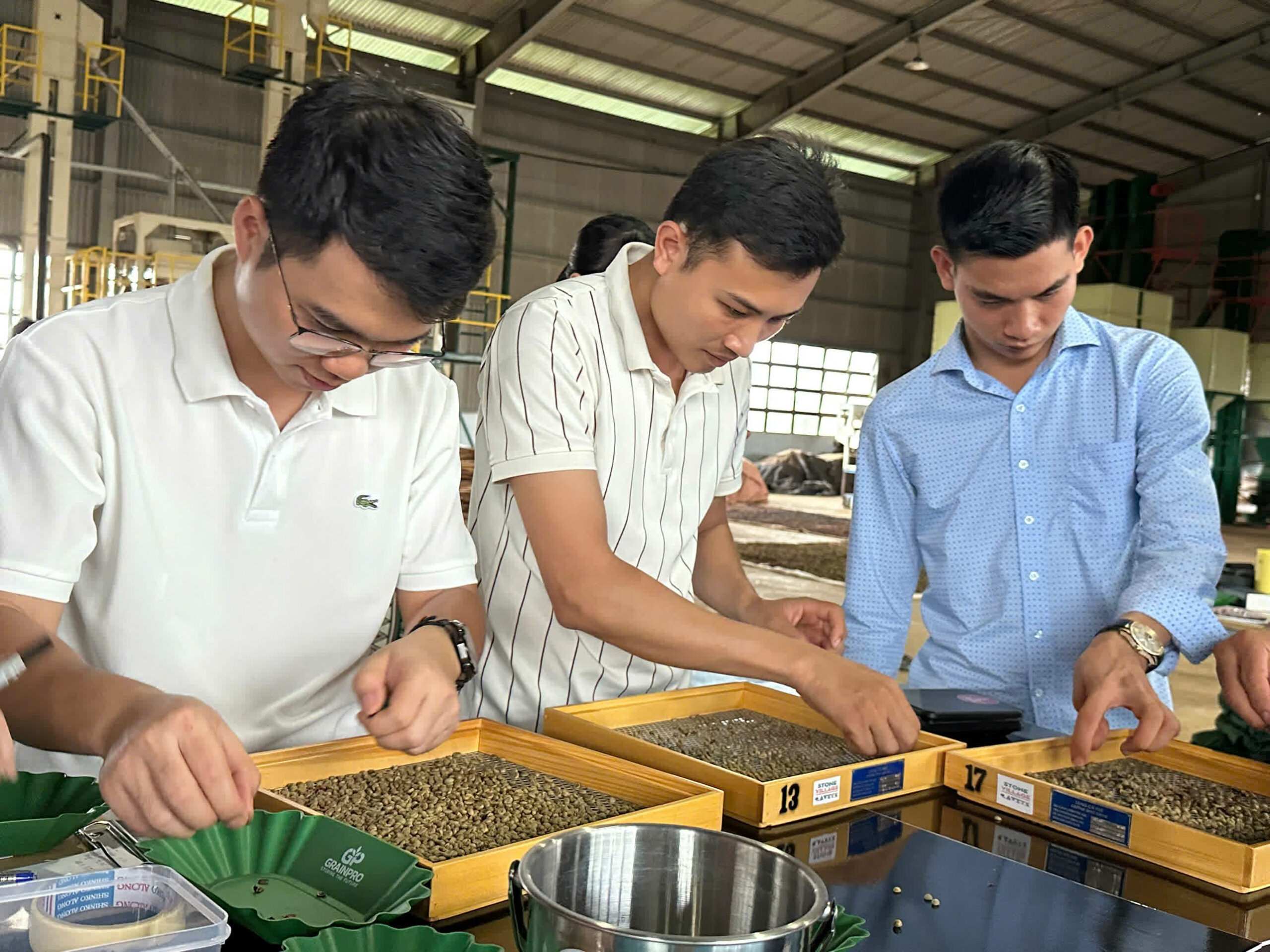 Học viên sàng phân cỡ hạt nhân xanh bằng bộ sàng số 13 và 17