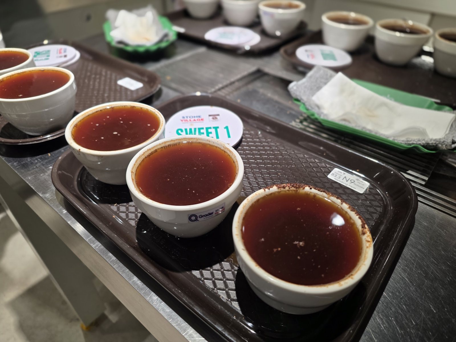 Các chén Robusta sau khi phá váng trên khay