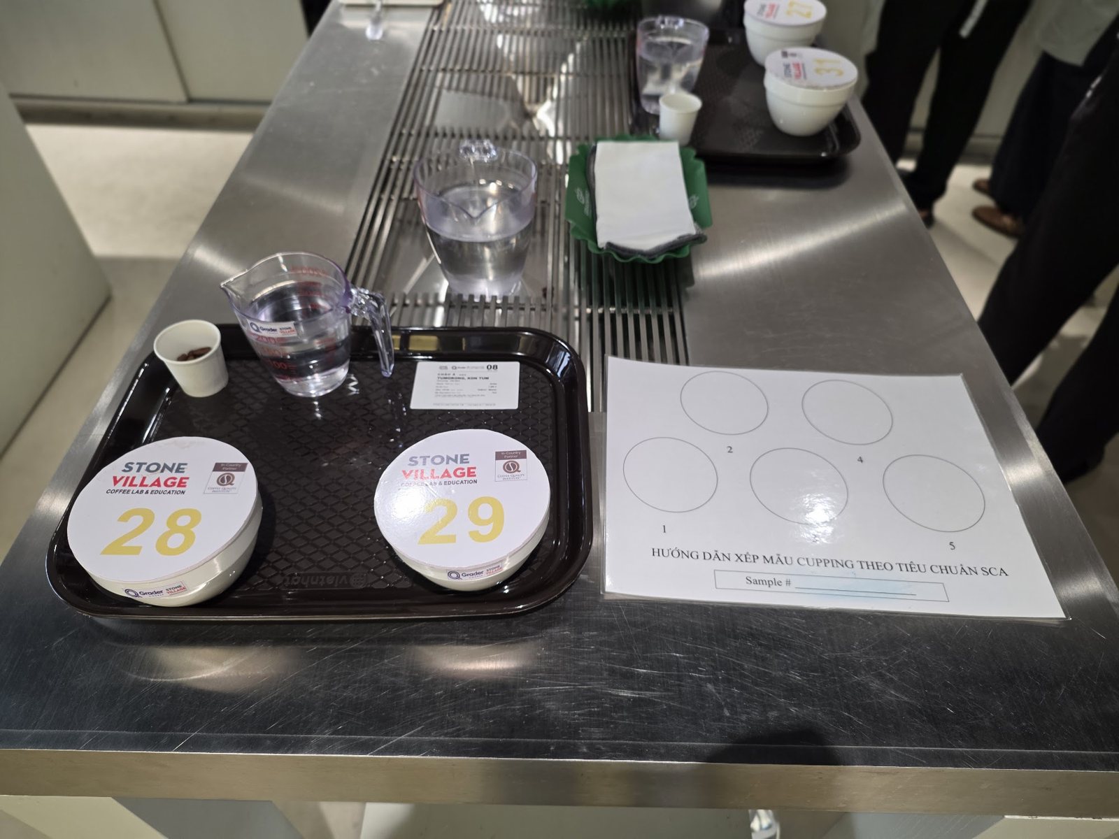 Khay mẫu đặt cạnh tờ hướng dẫn xếp mẫu cupping theo tiêu chuẩn SCA