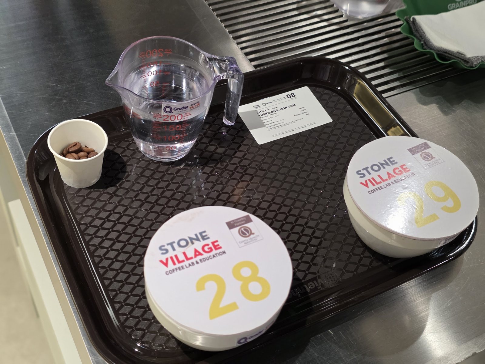 Khay mẫu cupping có nắp đánh số, ca nước và cốc cà phê hạt