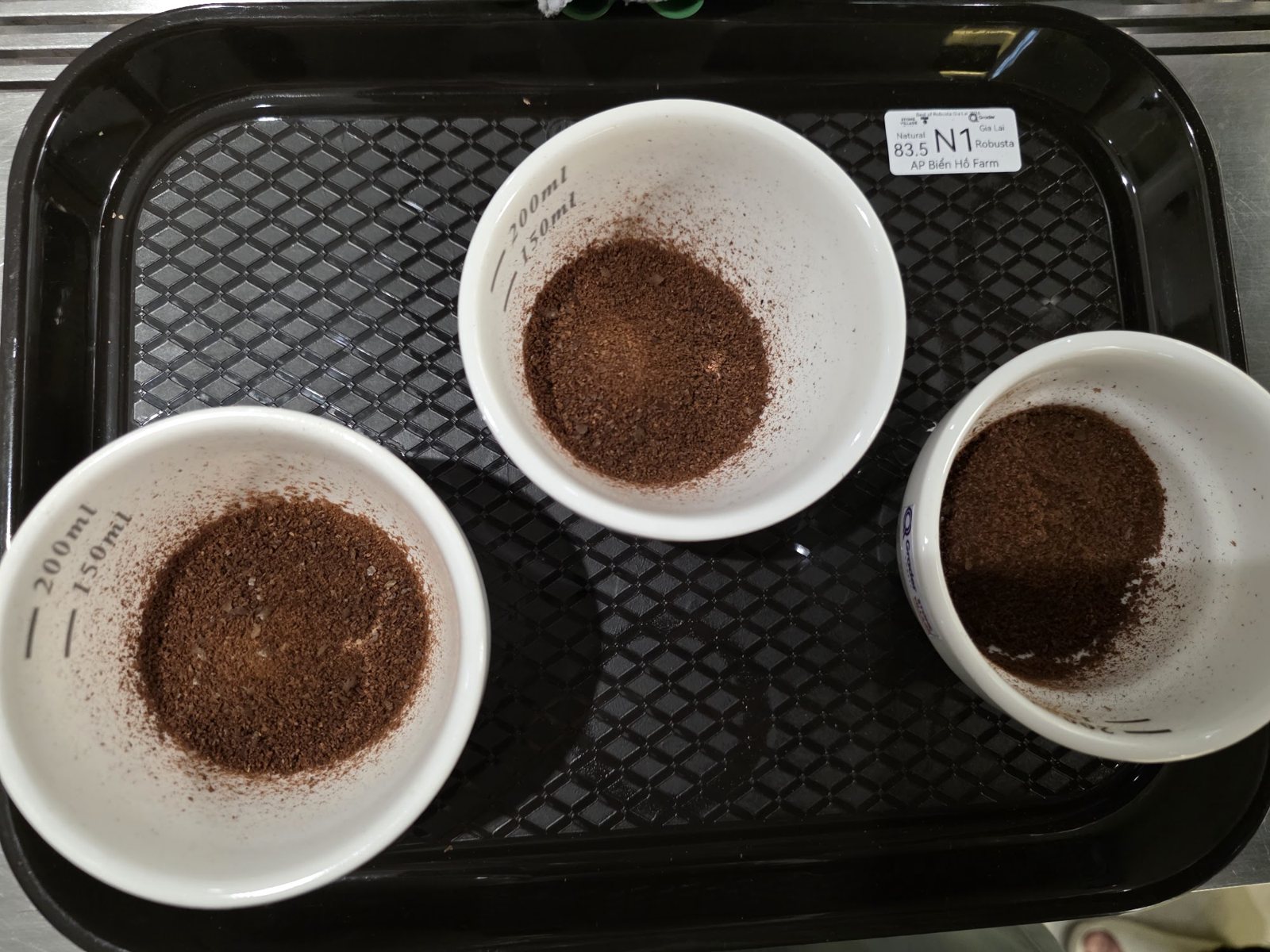 Khay ba chén Robusta xay của một mẫu khác