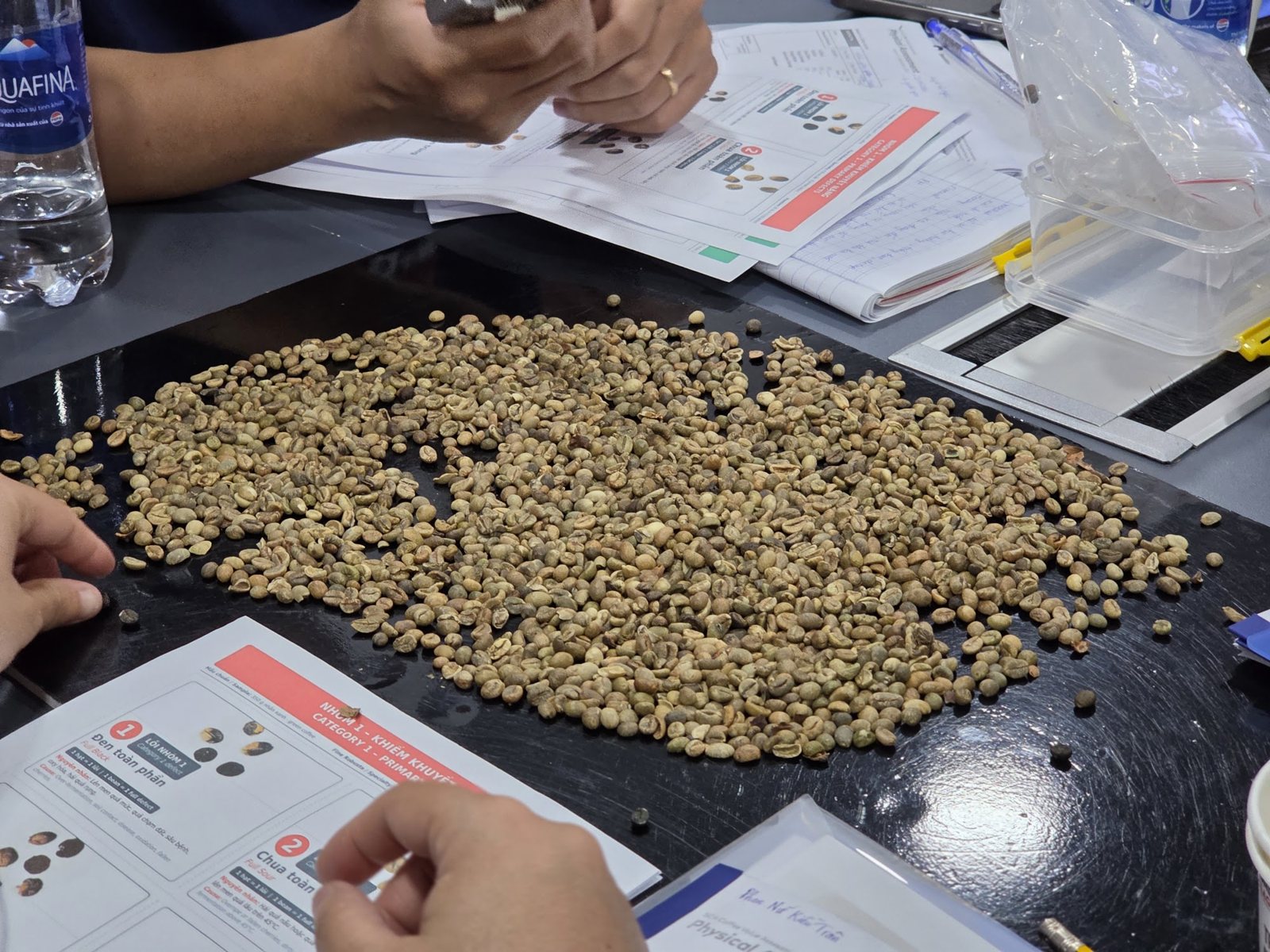Mẫu nhân xanh trải trên bàn cạnh bảng lỗi tham chiếu